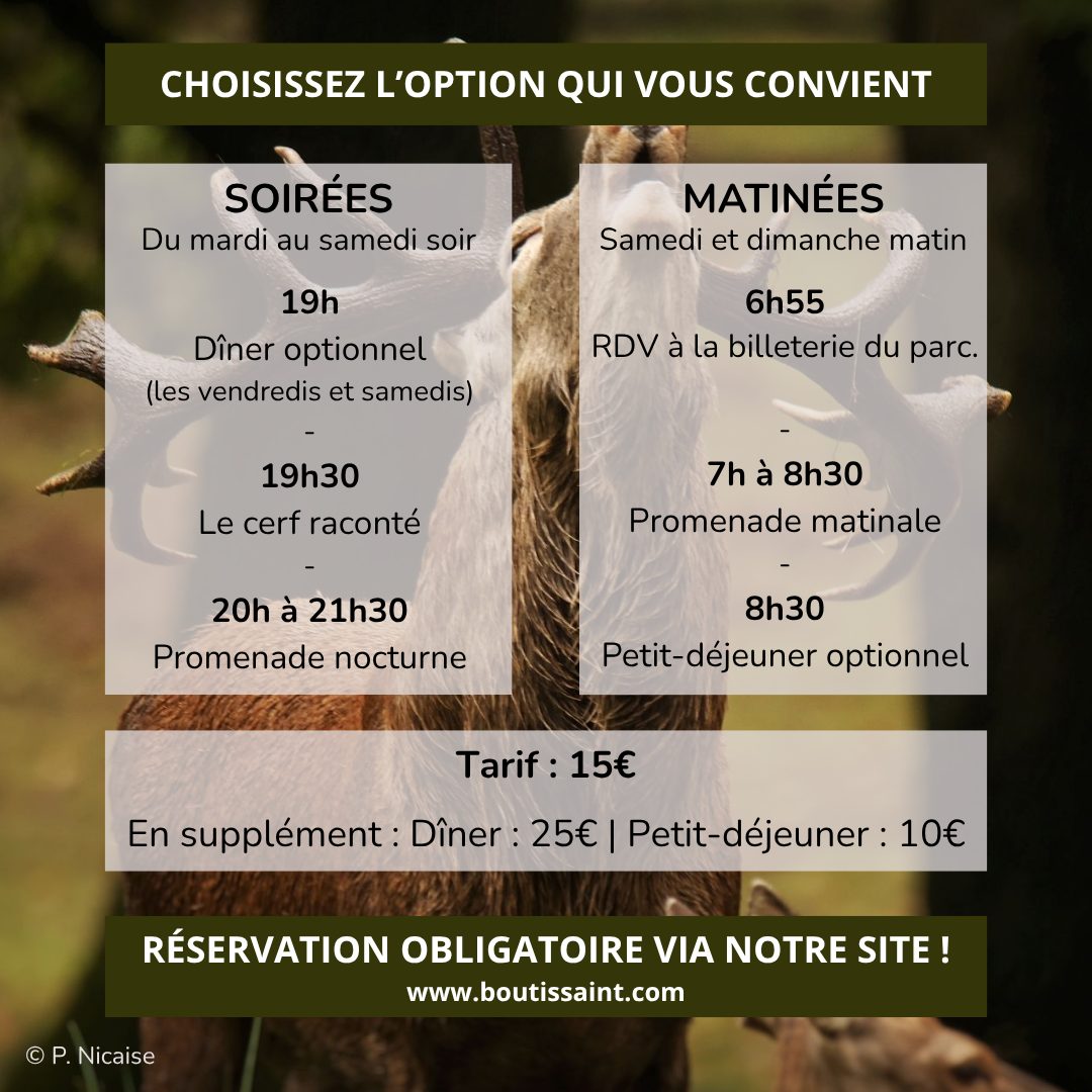 Visuel à partager 2 - Brame du Cerf